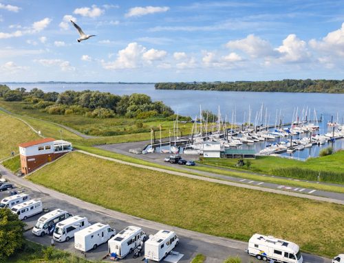 Frischer Wind im MöwenNest: Neue Saison, neue Webseite